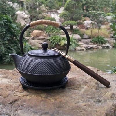 Théière chinoise en fonte